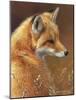 Curious: Red Fox-Joni Johnson-godsy-Mounted Art Print