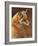 Curious: Red Fox-Joni Johnson-godsy-Framed Giclee Print