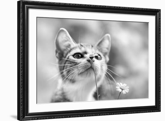 Curious-Mirjam Delrue-Framed Photographic Print