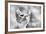 Curious-Mirjam Delrue-Framed Photographic Print