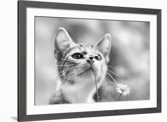 Curious-Mirjam Delrue-Framed Photographic Print