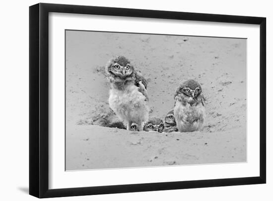 Curious-Jun Zuo-Framed Giclee Print