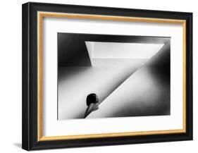 CurioZity-Laura Mexia-Framed Photographic Print