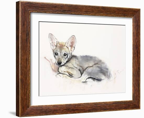 Curled Arabian Wolf Pup, 2009-Mark Adlington-Framed Giclee Print