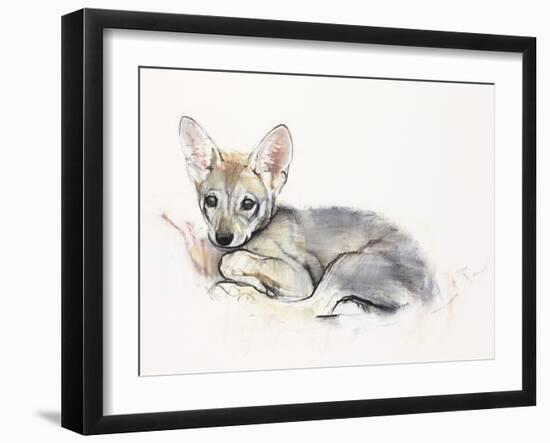 Curled Arabian Wolf Pup, 2009-Mark Adlington-Framed Giclee Print