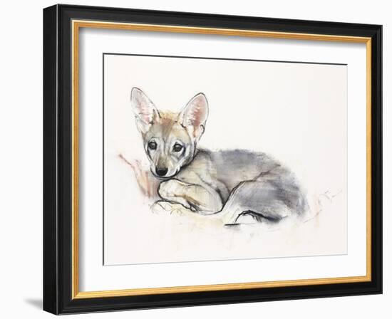 Curled Arabian Wolf Pup, 2009-Mark Adlington-Framed Giclee Print