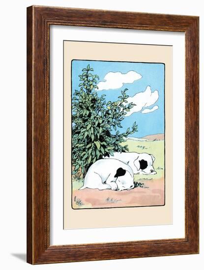 Curled Up Tight-Julia Dyar Hardy-Framed Premium Giclee Print