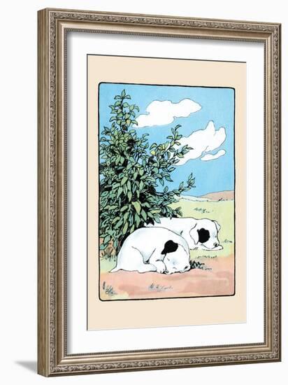 Curled Up Tight-Julia Dyar Hardy-Framed Art Print