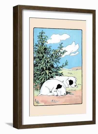 Curled Up Tight-Julia Dyar Hardy-Framed Art Print