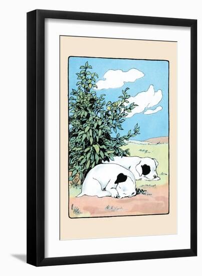 Curled Up Tight-Julia Dyar Hardy-Framed Art Print