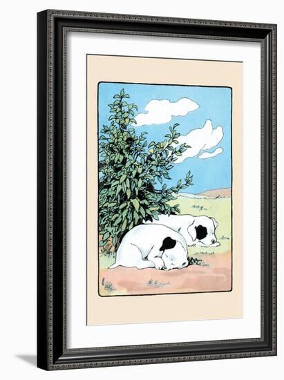 Curled Up Tight-Julia Dyar Hardy-Framed Art Print