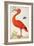 Curlew Catesby (or Scarlet Ibis)-Maria Sibylla Merian-Framed Premium Giclee Print