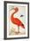 Curlew Catesby (or Scarlet Ibis)-Maria Sibylla Merian-Framed Art Print