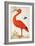 Curlew Catesby (or Scarlet Ibis)-Maria Sibylla Merian-Framed Art Print