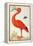 Curlew Catesby (or Scarlet Ibis)-Maria Sibylla Merian-Framed Stretched Canvas