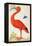 Curlew Catesby (or Scarlet Ibis)-Maria Sibylla Merian-Framed Stretched Canvas