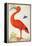 Curlew Catesby (or Scarlet Ibis)-Maria Sibylla Merian-Framed Stretched Canvas