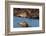 Curlew preening on mudflat at low tide, Northumberland, UK-Laurie Campbell-Framed Photographic Print