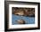 Curlew preening on mudflat at low tide, Northumberland, UK-Laurie Campbell-Framed Photographic Print