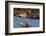 Curlew preening on mudflat at low tide, Northumberland, UK-Laurie Campbell-Framed Photographic Print