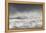 Curlews (Numenius Arquata) Group Flying over the Sea During Storm-Ben Hall-Framed Premier Image Canvas