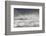 Curlews (Numenius Arquata) Group Flying over the Sea During Storm-Ben Hall-Framed Photographic Print