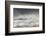 Curlews (Numenius Arquata) Group Flying over the Sea During Storm-Ben Hall-Framed Photographic Print