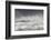 Curlews (Numenius Arquata) Group Flying over the Sea During Storm-Ben Hall-Framed Photographic Print