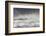 Curlews (Numenius Arquata) Group Flying over the Sea During Storm-Ben Hall-Framed Photographic Print