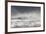 Curlews (Numenius Arquata) Group Flying over the Sea During Storm-Ben Hall-Framed Photographic Print