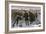 Curling Match on a Frozen Lake in Canada, 1880s-null-Framed Giclee Print