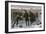 Curling Match on a Frozen Lake in Canada, 1880s-null-Framed Giclee Print