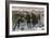 Curling Match on a Frozen Lake in Canada, 1880s-null-Framed Giclee Print