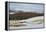 Curling on Frozen Bush Loch, Gatehouse of Fleet, Dumfries and Galloway, Scotland, United Kingdom-Gary Cook-Framed Premier Image Canvas