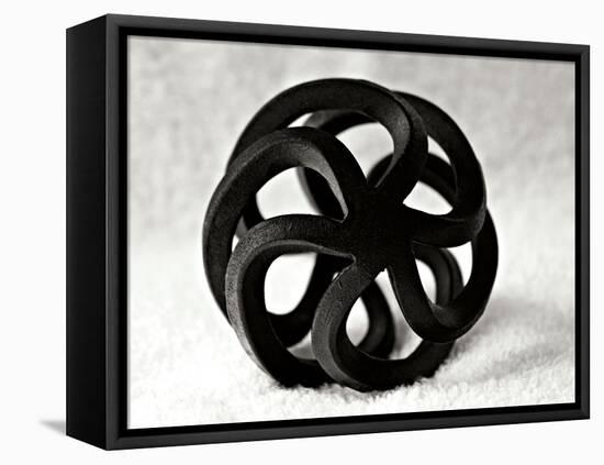 Curls-Tammy Putman-Framed Premier Image Canvas