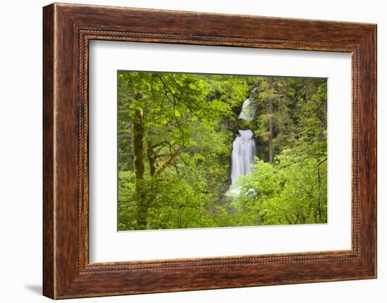 Curly Creek Falls, Lewis River, Gifford Pinchot National Forest, Washington, USA-Jamie & Judy Wild-Framed Photographic Print