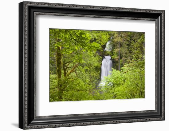 Curly Creek Falls, Lewis River, Gifford Pinchot National Forest, Washington, USA-Jamie & Judy Wild-Framed Photographic Print