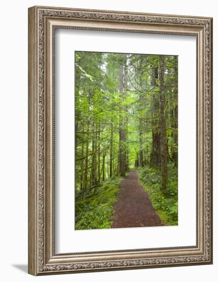 Curly Creek Falls, Lewis River, Gifford Pinchot National Forest, Washington, USA-Jamie & Judy Wild-Framed Photographic Print