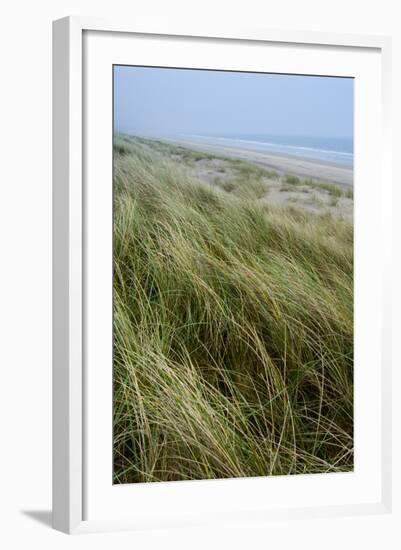 Curracloe Beach, County Wexford, Leinster, Republic of Ireland (Eire), Europe-Nico Tondini-Framed Photographic Print