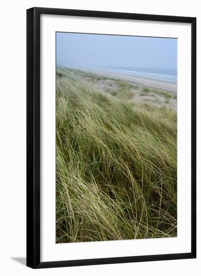 Curracloe Beach, County Wexford, Leinster, Republic of Ireland (Eire), Europe-Nico Tondini-Framed Photographic Print