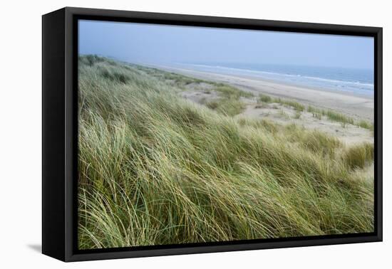 Curracloe Beach, County Wexford, Leinster, Republic of Ireland (Eire), Europe-Nico Tondini-Framed Premier Image Canvas