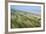 Curracloe Beach, County Wexford, Leinster, Republic of Ireland (Eire), Europe-Nico Tondini-Framed Photographic Print