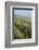 Curracloe Beach, County Wexford, Leinster, Republic of Ireland (Eire), Europe-Nico Tondini-Framed Photographic Print