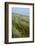 Curracloe Beach, County Wexford, Leinster, Republic of Ireland (Eire), Europe-Nico Tondini-Framed Photographic Print