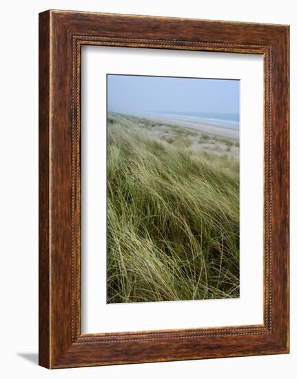 Curracloe Beach, County Wexford, Leinster, Republic of Ireland (Eire), Europe-Nico Tondini-Framed Photographic Print