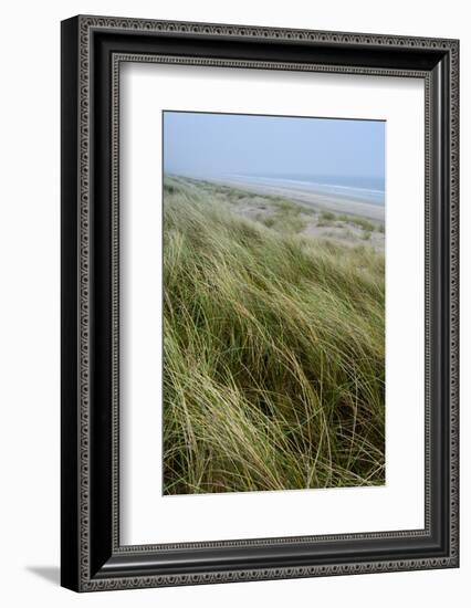 Curracloe Beach, County Wexford, Leinster, Republic of Ireland (Eire), Europe-Nico Tondini-Framed Photographic Print