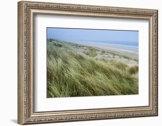 Curracloe Beach, County Wexford, Leinster, Republic of Ireland (Eire), Europe-Nico Tondini-Framed Photographic Print