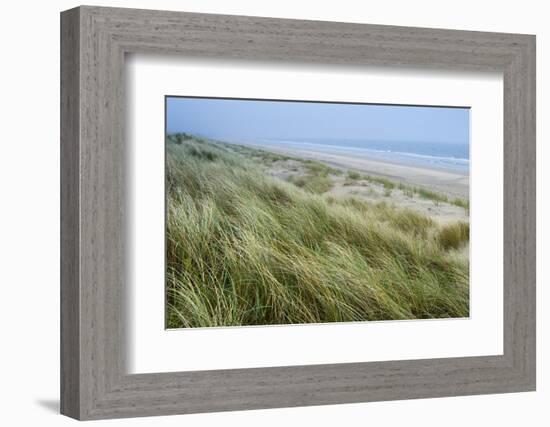 Curracloe Beach, County Wexford, Leinster, Republic of Ireland (Eire), Europe-Nico Tondini-Framed Photographic Print