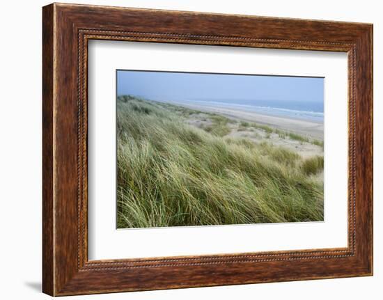 Curracloe Beach, County Wexford, Leinster, Republic of Ireland (Eire), Europe-Nico Tondini-Framed Photographic Print