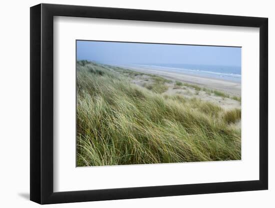 Curracloe Beach, County Wexford, Leinster, Republic of Ireland (Eire), Europe-Nico Tondini-Framed Photographic Print